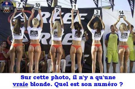 blonde pour blonde
